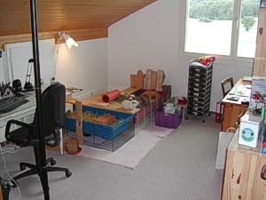 Arbeitszimmer
